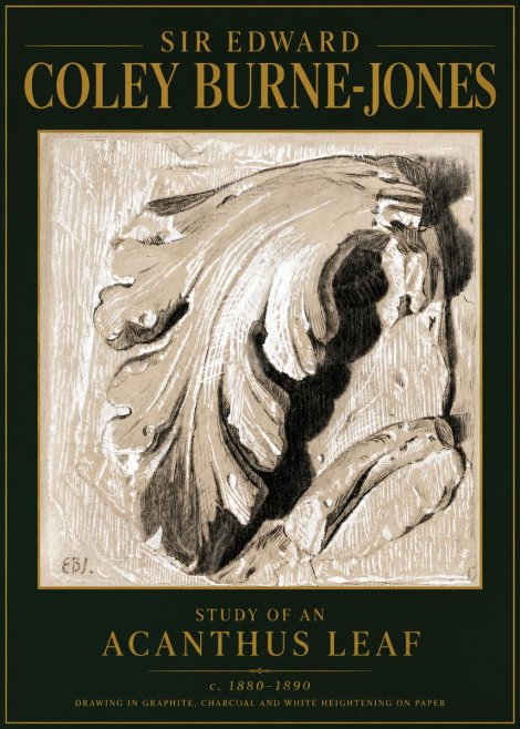 Edward Burne-Jones Study of an Acanthus Leaf No5 - Affiche