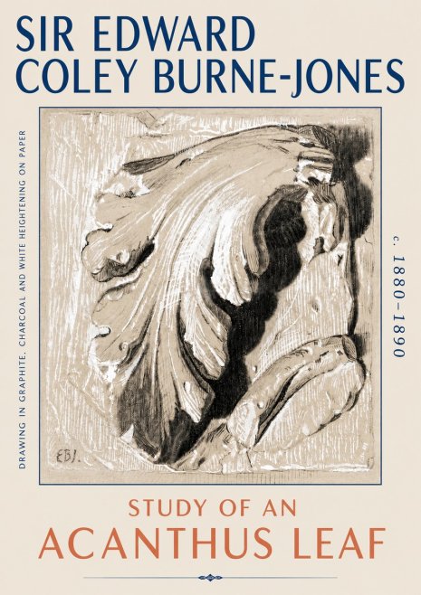 Edward Burne-Jones Study of an Acanthus Leaf No6 - Affiche