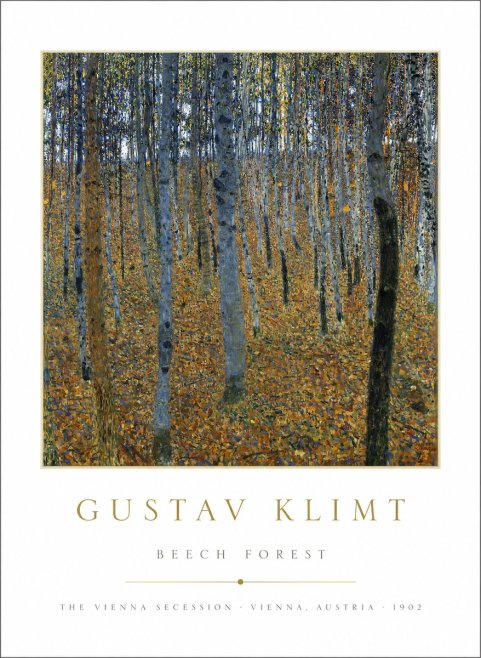 Klimt Beech Forest No1 - Affiche