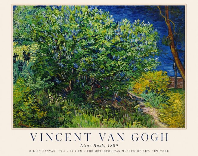Van Gogh Lilac Bush No1 - Affiche