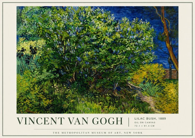 Van Gogh Lilac Bush No5 - Affiche