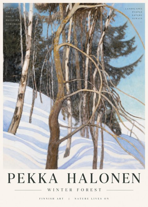 Pekka Halonen Winter Forest III No6 - Affiche