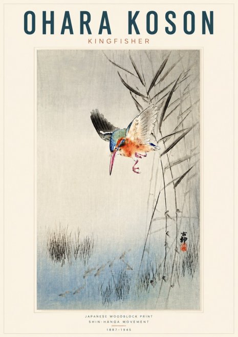 Ohara Koson Kingfisher No4 - Affiche