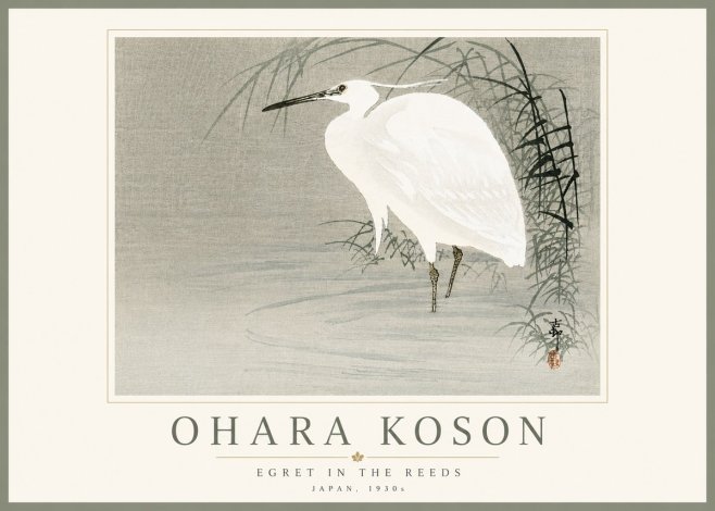 Ohara Koson Egret in the Reeds No5 - Affiche