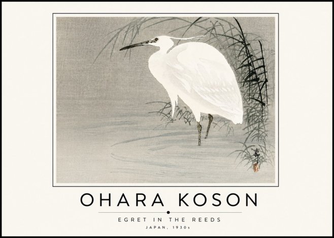 Ohara Koson Egret in the Reeds No6 - Affiche