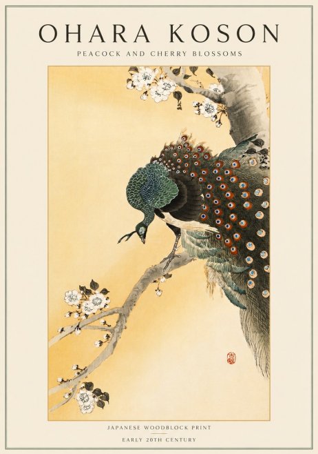 Ohara Koson Peacock and Cherry Blossoms No4 - Affiche