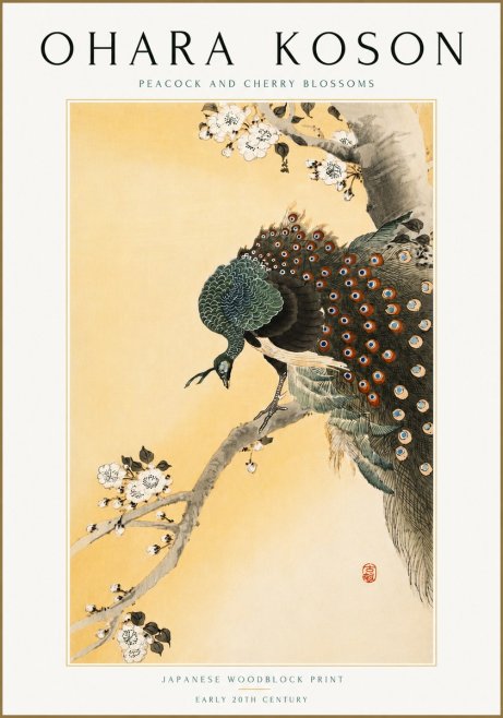 Ohara Koson Peacock and Cherry Blossoms No5 - Affiche