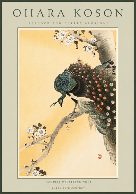 Ohara Koson Peacock and Cherry Blossoms No6 - Affiche