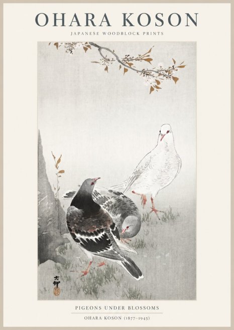 Ohara Koson Pigeons Under Blossoms No1 - Affiche