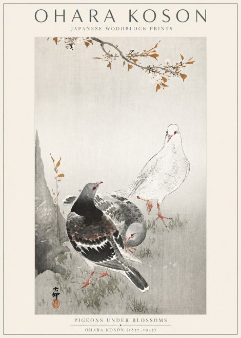 Ohara Koson Pigeons Under Blossoms No3 - Affiche