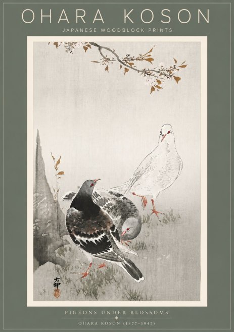 Ohara Koson Pigeons Under Blossoms No5 - Affiche