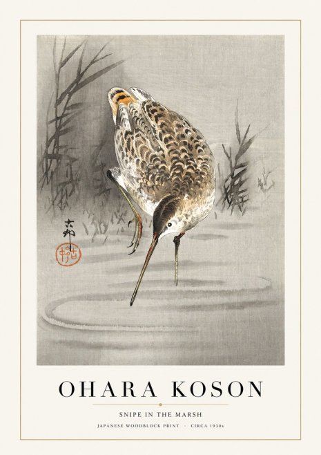Ohara Koson Snipe in the Marsh No1 - Affiche