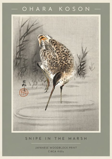 Ohara Koson Snipe in the Marsh No2 - Affiche