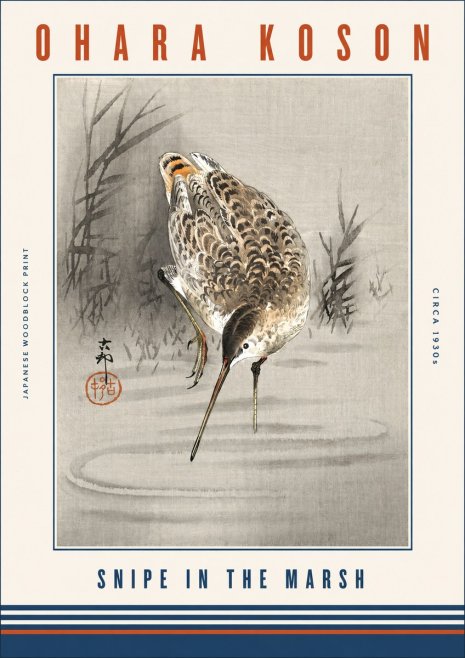 Ohara Koson Snipe in the Marsh No3 - Affiche