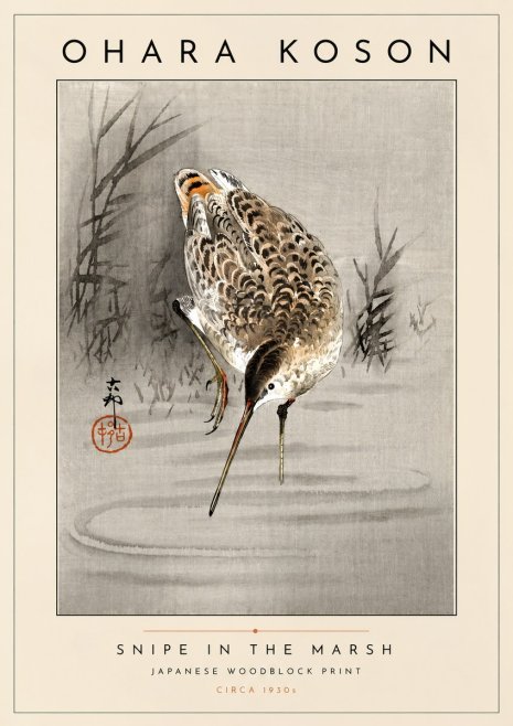 Ohara Koson Snipe in the Marsh No4 - Affiche