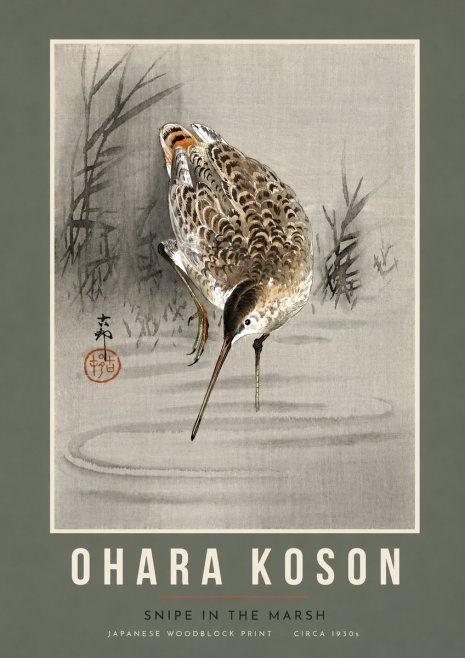 Ohara Koson Snipe in the Marsh No5 - Affiche