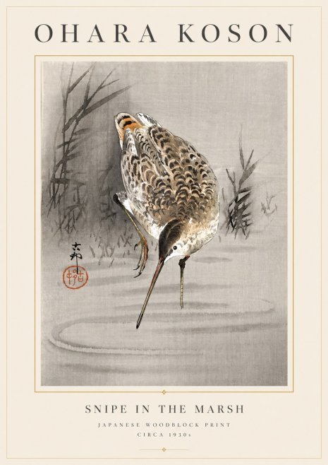 Ohara Koson Snipe in the Marsh No6 - Affiche