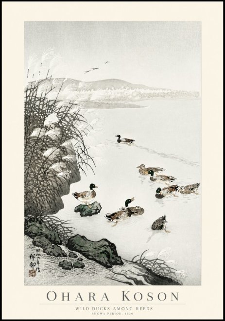 Ohara Koson Wild Ducks Among Reeds No1 - Affiche
