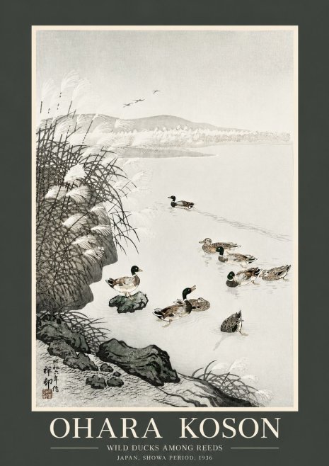 Ohara Koson Wild Ducks Among Reeds No2 - Affiche
