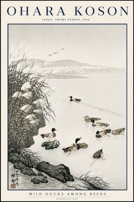 Ohara Koson Wild Ducks Among Reeds No3 - Affiche