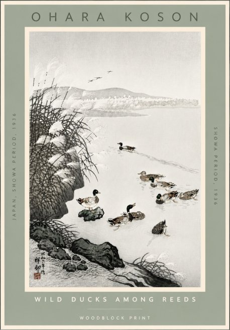Ohara Koson Wild Ducks Among Reeds No4 - Affiche