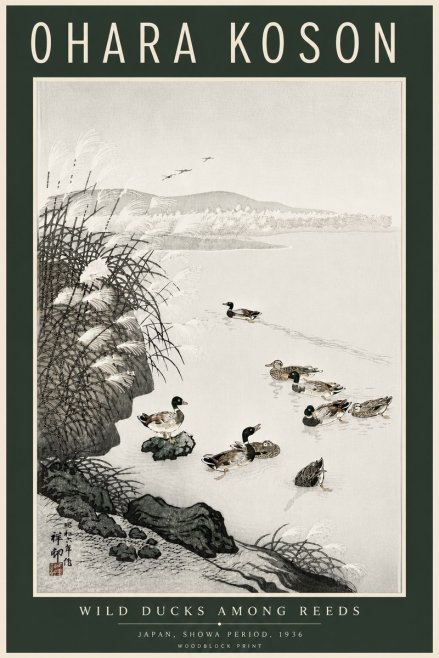 Ohara Koson Wild Ducks Among Reeds No6 - Affiche