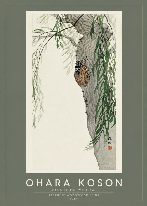 Ohara Koson Cicada on Willow No2 - Affiche