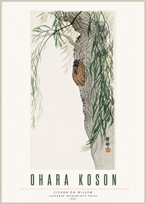 Ohara Koson Cicada on Willow No3 - Affiche