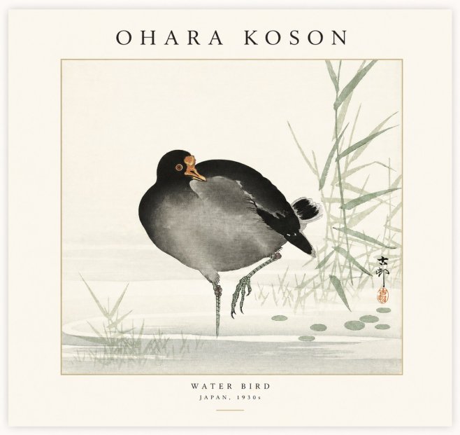 Ohara Koson Water Bird No1 - Affiche