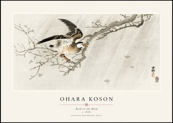 Ohara Koson Bird in the Rain No1 - Affiche