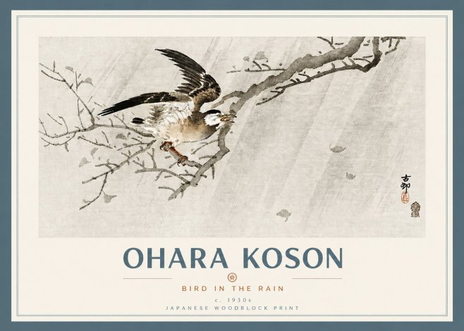 Ohara Koson Bird in the Rain No4 - Affiche