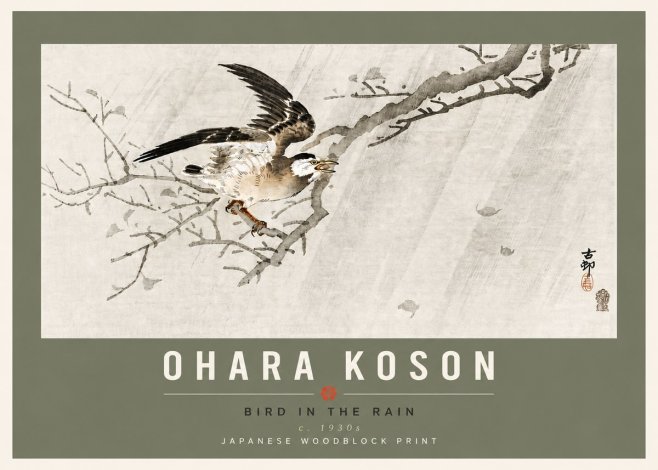 Ohara Koson Bird in the Rain No6 - Affiche