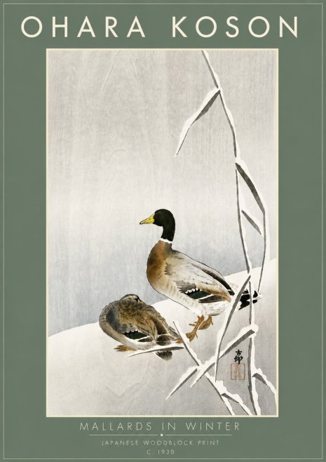 Ohara Koson Mallards in Winter No6 - Affiche