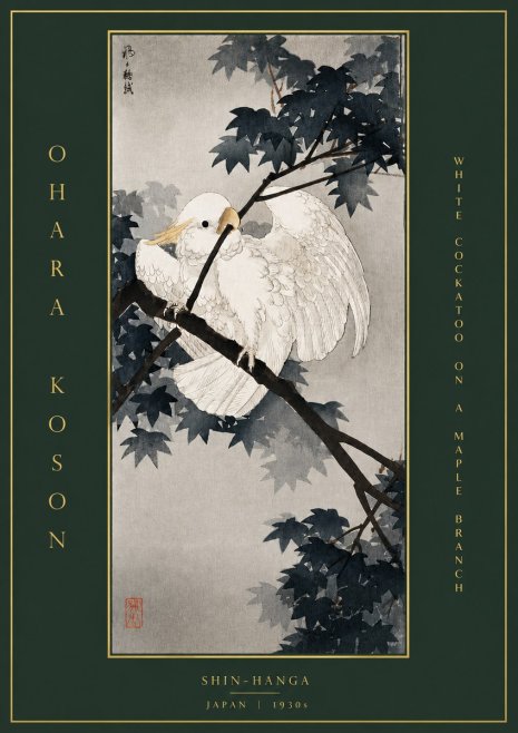 Ohara Koson White Cockatoo on a Maple Branch No5 - Affiche