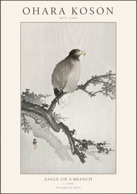 Ohara Koson Eagle on a Branch I No1 - Affiche