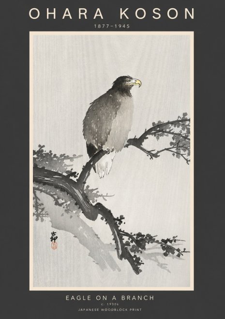 Ohara Koson Eagle on a Branch I No3 - Affiche