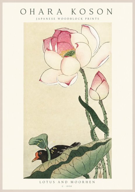 Ohara Koson Lotus and Moorhen No1 - Affiche