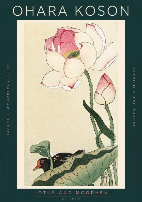 Ohara Koson Lotus and Moorhen No2 - Affiche