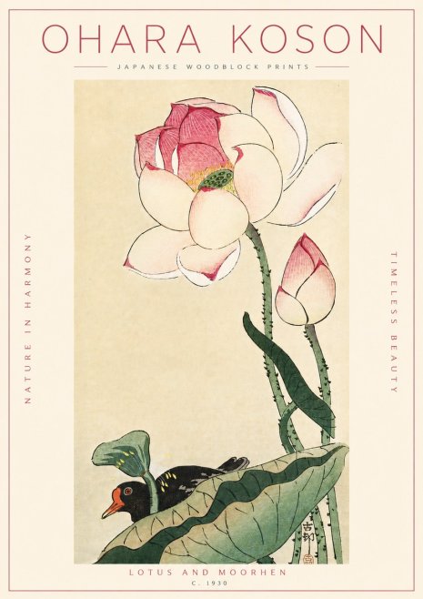 Ohara Koson Lotus and Moorhen No4 - Affiche