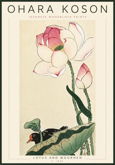 Ohara Koson Lotus and Moorhen No6 - Affiche