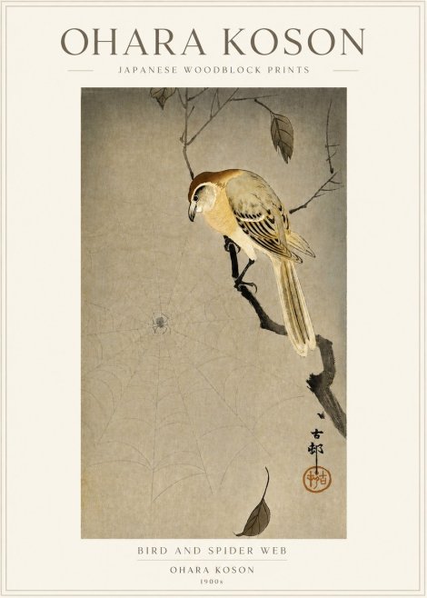 Ohara Koson Bird and Spider Web I No3 - Affiche