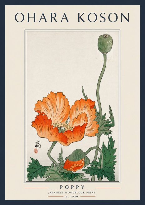 Ohara Koson Poppy No5 - Affiche