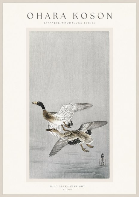 Ohara Koson Wild Ducks in Flight No1 - Affiche