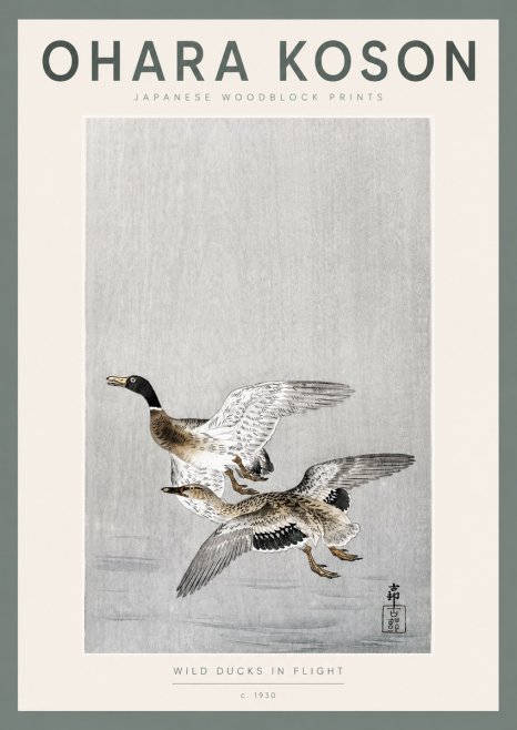 Ohara Koson Wild Ducks in Flight No2 - Affiche