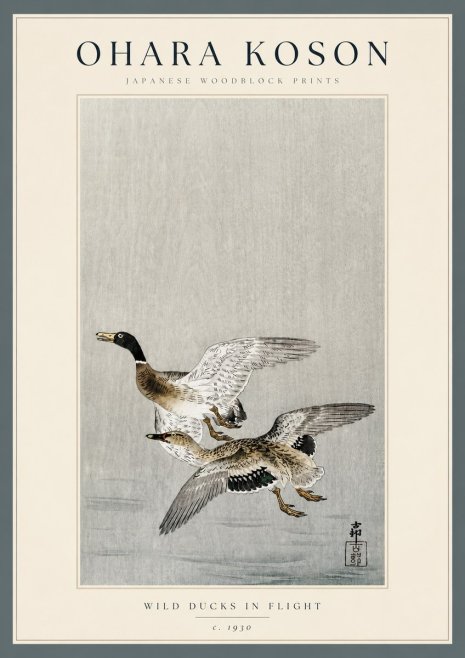 Ohara Koson Wild Ducks in Flight No3 - Affiche