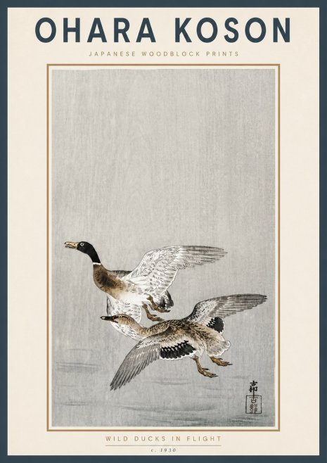 Ohara Koson Wild Ducks in Flight No4 - Affiche