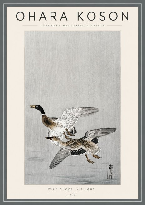 Ohara Koson Wild Ducks in Flight No5 - Affiche