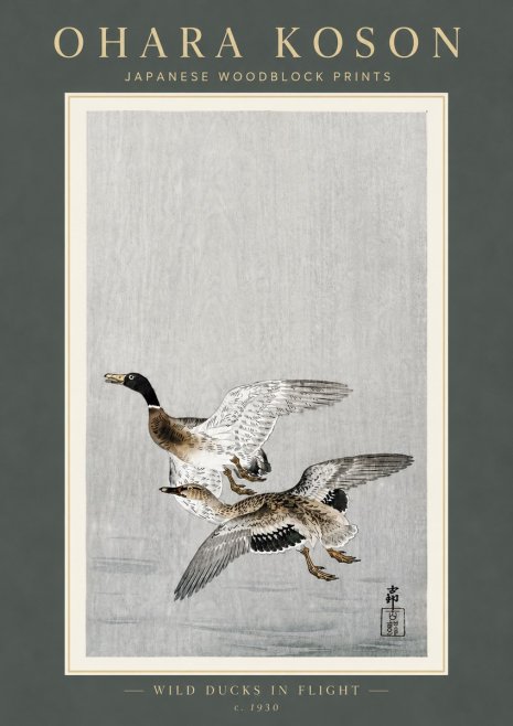 Ohara Koson Wild Ducks in Flight No6 - Affiche