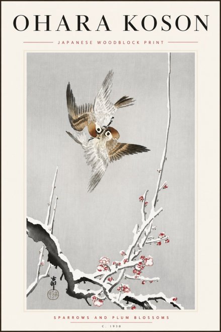 Ohara Koson Sparrows and Plum Blossoms No5 - Affiche