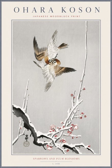 Ohara Koson Sparrows and Plum Blossoms No6 - Affiche